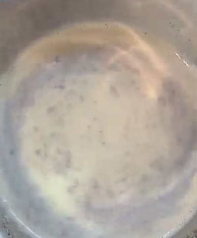 フライパンで作る♪キクラゲ黒蜜きなこプリンの作り方の写真