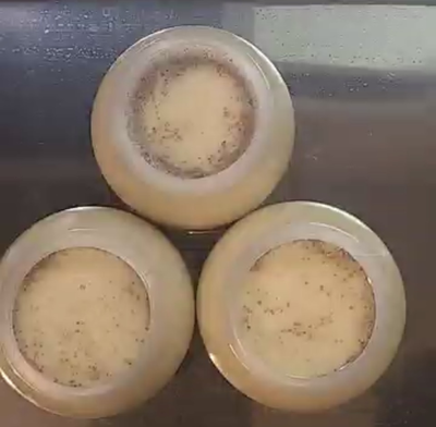 フライパンで作る♪キクラゲ黒蜜きなこプリンの作り方の写真