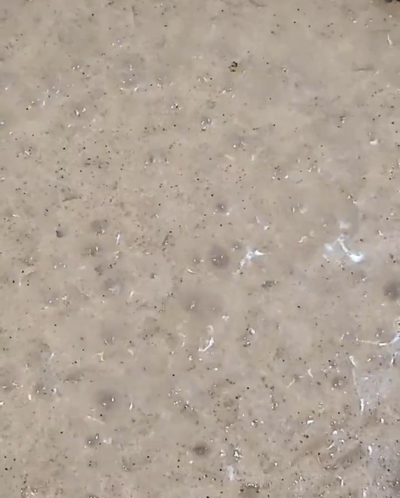 香りふわり。濃厚クリームリゾットに潜むキクラゲパウダーの余韻の作り方の写真