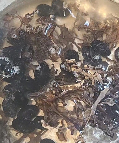 やさしい味がしみる「キクラゲのかんたん含め煮」の作り方の写真